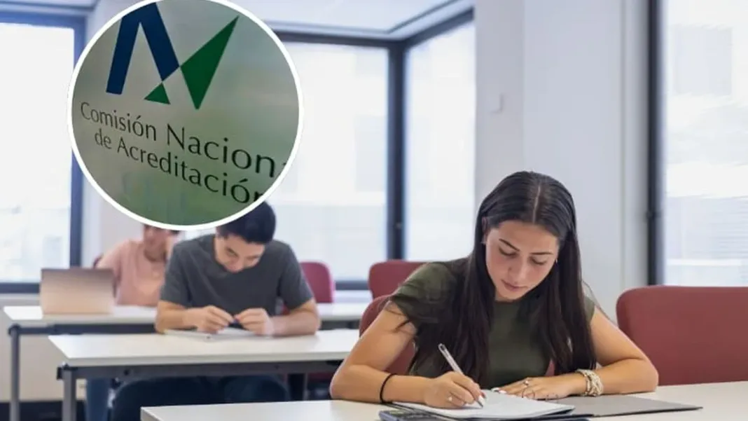 Resultados de la PAES 2024 ¿Qué implican para la admisión